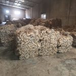 IMG_20251011_134009839