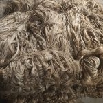 IMG_20251011_134029348