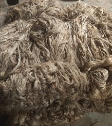 IMG_20251011_134029348