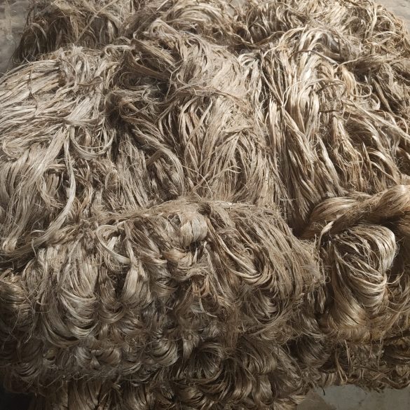 IMG_20251011_134029348