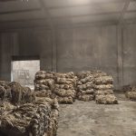 IMG_20251011_134053531