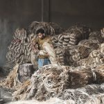 IMG_20251011_134325242