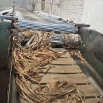 IMG_20251011_134832584