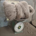 IMG_20251011_135129758