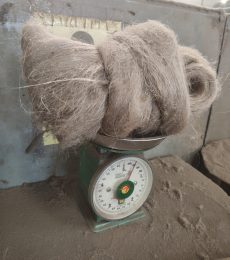 IMG_20251011_135129758