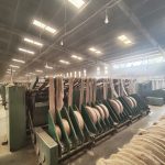 IMG_20251011_135307034