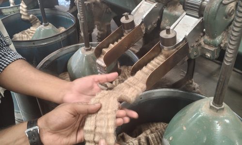 IMG_20251011_135352829