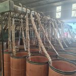 IMG_20251011_135616257