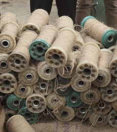 IMG_20251011_140246779